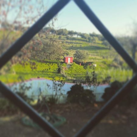 La Casa Barata, Casa Rural Cedillo Kültér fotó