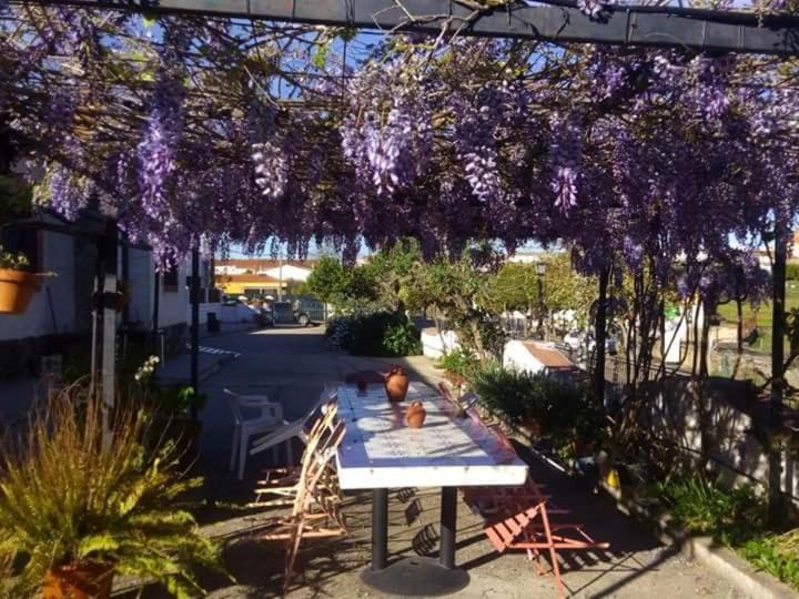 La Casa Barata, Casa Rural Cedillo Kültér fotó