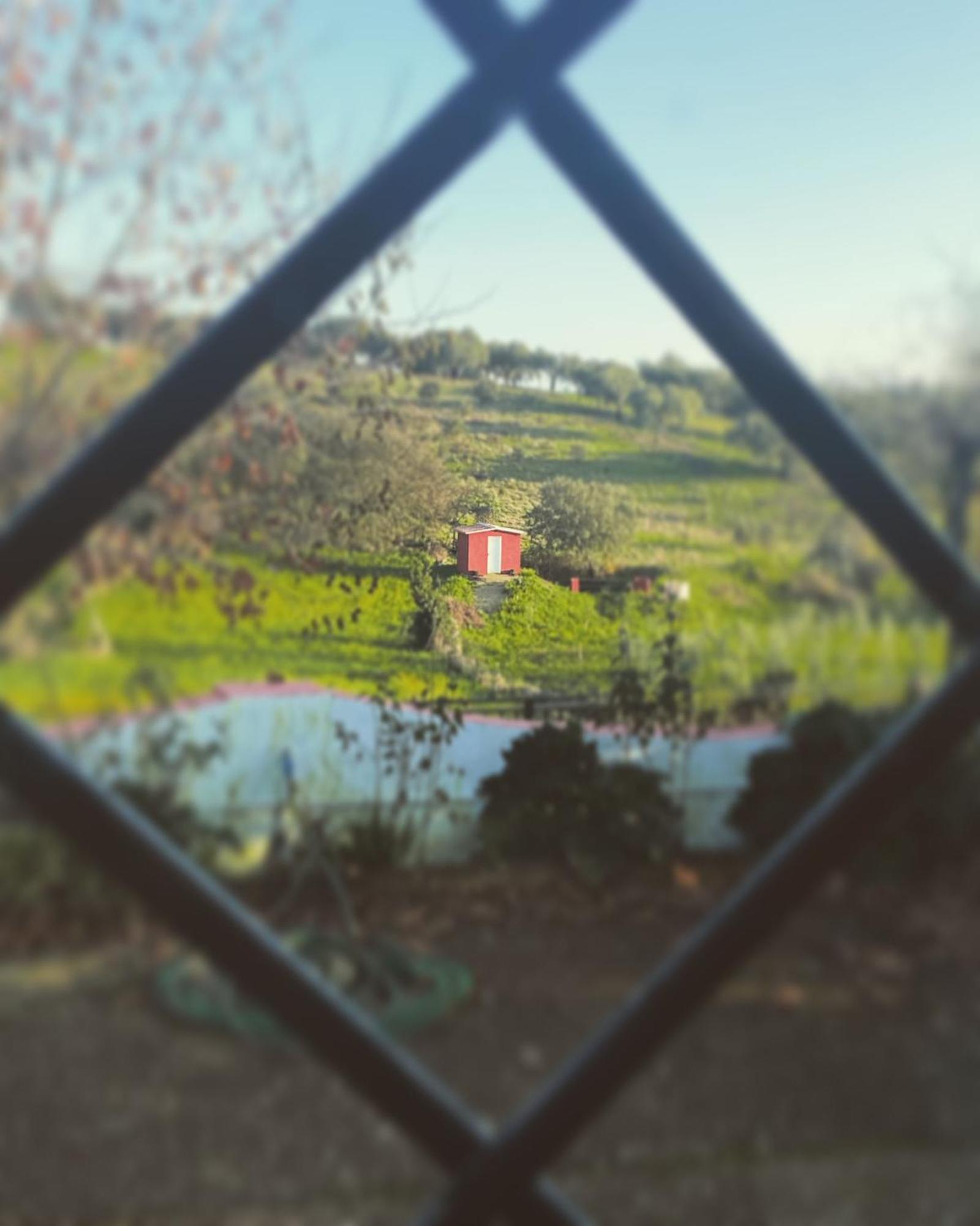 La Casa Barata, Casa Rural Cedillo Kültér fotó