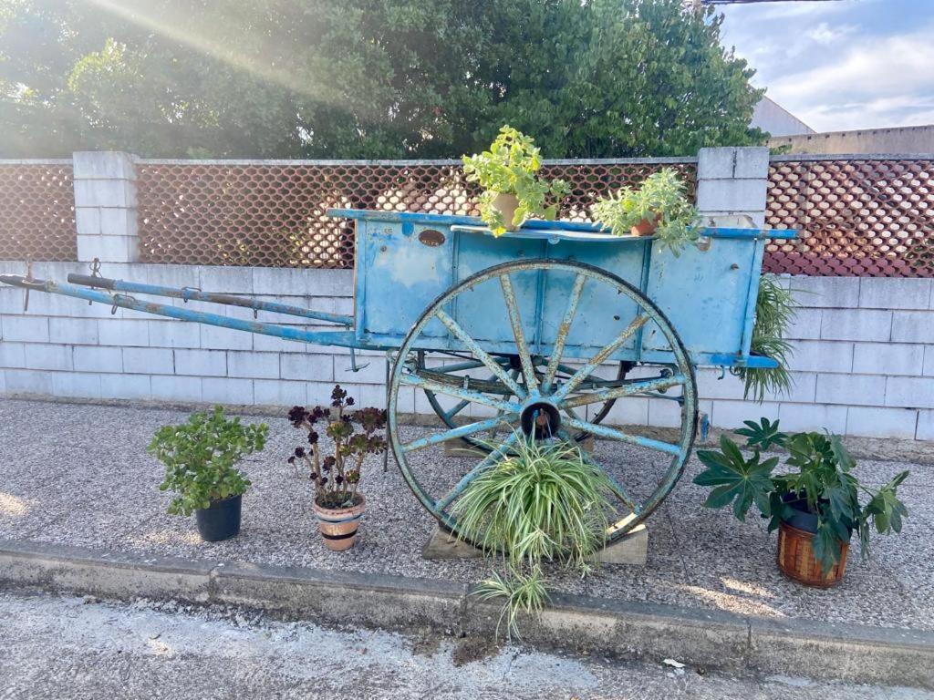 La Casa Barata, Casa Rural Cedillo Kültér fotó